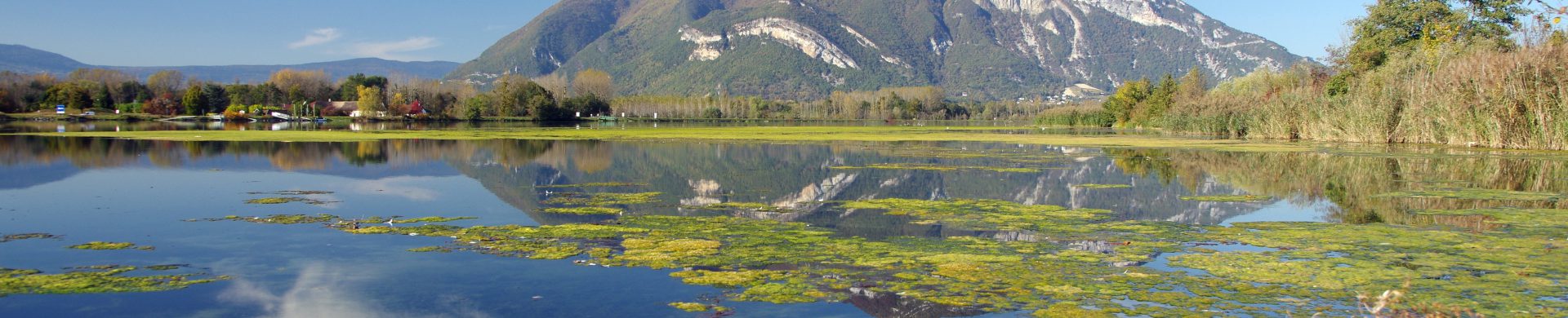 AdobeStock_176758866